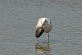 04 05 16_5562_edited-1